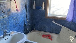 Three Generations of Farming and No-Dig Vegetables