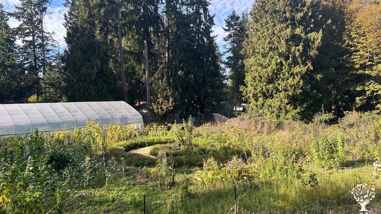 Herbal Tea & Agroforestry + Social Permaculture - WWOOF USA