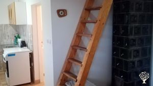 Vineyard, Livestock Farm, Orchard, Mixed Farm, Family farm