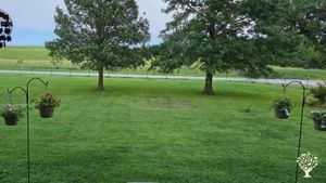 I run a progressive, eco-conscious, and inclusive homestead in rural Osage County, Kansas.