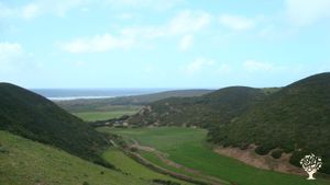 The valley next to our farm with the view on Bordeira beach 1km away.