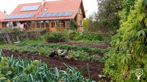 Hutsul Horses and Natural Gardening Farm based on agroecological principles