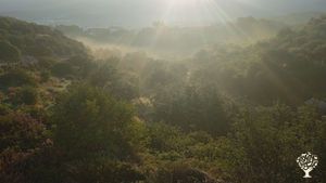 Organic farm in Eastern Crete
