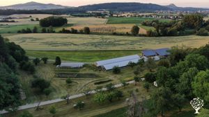 Gemüsegärtnerei mit Vermarktung