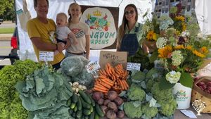 Christian co-op farm growing three market gardens & raising sheep, chickens, rabbits, etc.