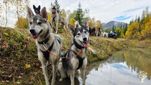 Organic smallholding by the sea