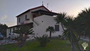 Azienda agricola biologica in Sardegna, Alghero. Ci occupiamo di allevamento e agricoltura.