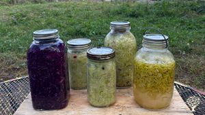 2023 sauerkraut and banana pepper production 