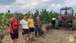 Az. Biologica in Toscana, zona chianti