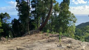 Eco Village / Artist in Residence / Free spaces