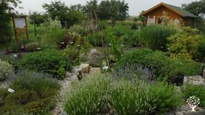Heilkräuter-Schaugarten, ländlich, Obstgarten und Tierhaltung für den Eigenverbrauch