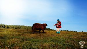 Hofgemeinschaft mit Selbstversorgung und Tierhaltung