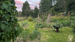 Vegetable garden, fence is needed due to all wild animals . 