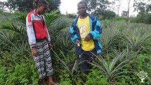 Family farm, Community farm