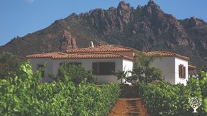 Azienda Agricola  cerealicola, oliveti , vigneti, orticole e frutteti.