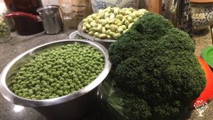 Family farm, goats, ducks and hen, vegetable garden.