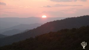 Autonomie et arboriculture