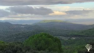 Eco-retreat and permaculture farm in Extremadura