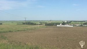 Family farm