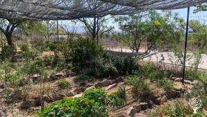 Somos una Escuela Agrícola y de Economía Social (campo, botánica textil, alimentos sanos)