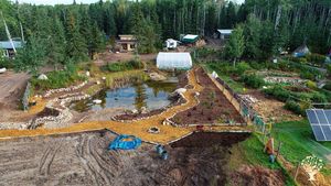 Pond and Forest Garden Area