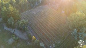 Family home and garden - rural, Agritourism Destination