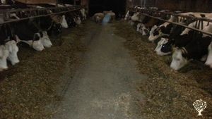 Family farm