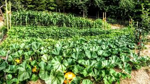 Beautiful Farmette  in a Valley on Salt Spring Island