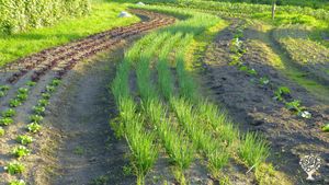 Educational Centre, Farm, Family farm, Community farm