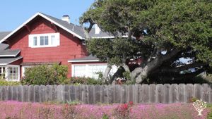 Urban organic farm and BnB in the small town of Seaside California, on the Monterey Bay