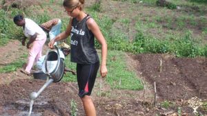 Ferme familiale, Ferme communautaire