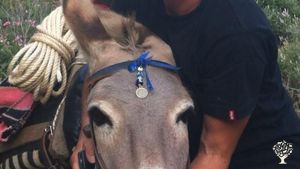 Family home and garden - Rural, Family farm, Olive grove, Bee keeper