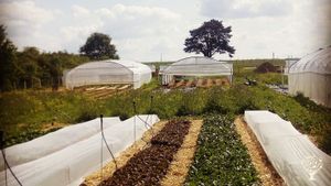 Ferme agro-écologique dans le Périgord Vert