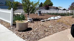 Main Garden