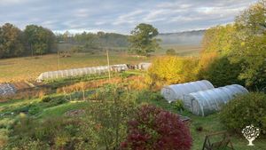 garden with green houses