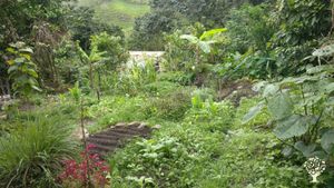 Family home in a place of abundance and tranquility