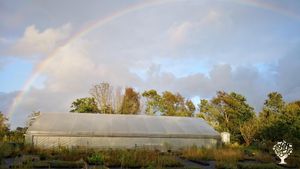 Market Garden, Flower Garden Farm, Family farm