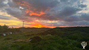 Isle of Lewis croft committed to goals of regenerative farming, upskilling & building community.
