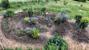 Jardin permaculture