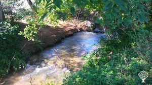 Ferme de spiruline et plein d'autres choses