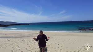 35 acres of coastal croft with flock of 35 sheep , fenced area designated for 1 k trees