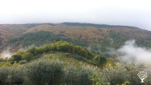 Fattoria Famigliare alle Pendici del Monte Subasio