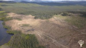 drone img of clear cut, 100-150 acres total, 75 acres useable, we have permission to use all/lake