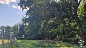 Charity 8 acre sanctuary/Education farm