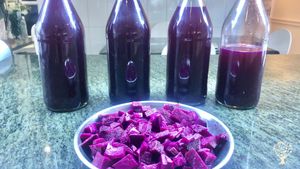 Kvass de Betarraga / Beetroot’s Kvass.