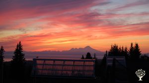 Sustainable family style farm situated in Homer across from active volcanoes and glaciers