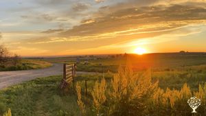 Dairy  & multi-species pasture meat business offering stone fruit, honey & specialty storage crops