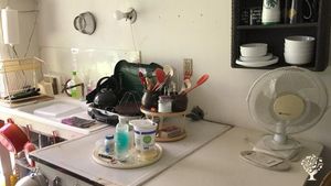 25-acre farm near Kentucky River