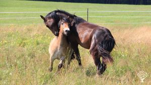 Family farm, Community farm.
