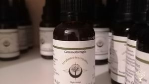 Plantes aromatiques et médicinales, gemmotherapie, médecine douce.